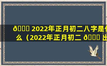 🐘 2022年正月初二八字是什么（2022年正月初二 🐅 出生的孩子好不好）